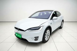 特斯拉 Model X 2019款 长续航版