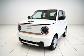 吉利银河 2025款 熊猫mini 210km 元气熊