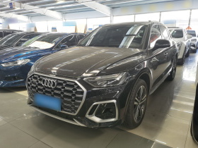 奥迪Q5L 2022款 改款 40T 豪华动感型