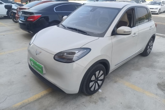 五菱汽车 五菱缤果 2023款 203km 舒享款