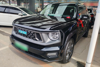 哈弗大狗 PLUS 新能源 2024款 Hi4 102km 潮电版Plus