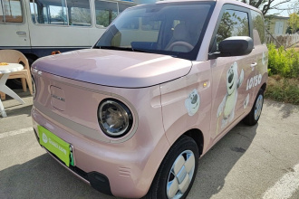 吉利银河 2023款 熊猫mini 200km 小黄鸭限定版 开心吖