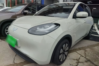 五菱汽车 五菱缤果 2024款 333km 悦享款