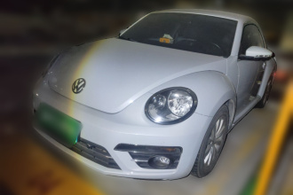 大众 甲壳虫 2018款 180TSI 宜乐型