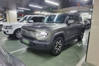 深蓝汽车 深蓝G318 2024款 四驱舒享版