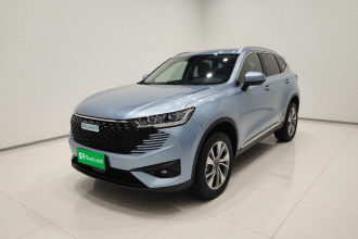哈弗H6新能源 2023款 DHT-PHEV 110KM 悦行版