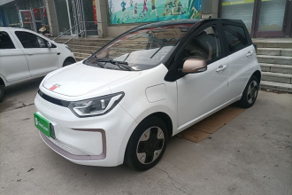 江淮钇为 钇为花仙子 2024款 挚爱版 301km Lite