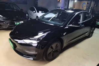 特斯拉 Model 3 2020款 改款 长续航后轮驱动版