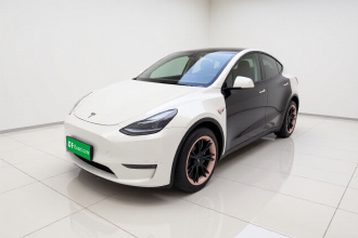 特斯拉 Model Y 2023款 长续航全轮驱动版