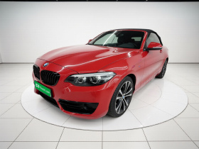 宝马2系(进口) 2019款 225i 敞篷轿跑车 运动设计套装