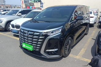 腾势D9 2024款 DM-i 1050 尊享型