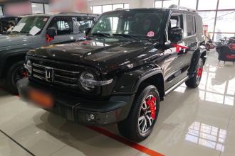 坦克300 2023款 城市版 2.0T 很有型