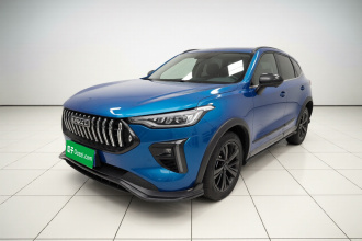 哈弗赤兔 2021款 激擎版 1.5T 黄金兔