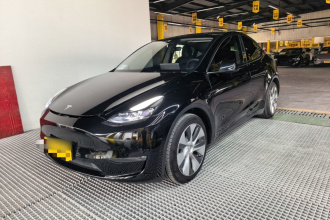 特斯拉 Model Y 2021款 标准续航后驱版