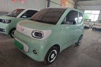 五菱汽车 宏光MINIEV 2024款 第三代 215km 青春版
