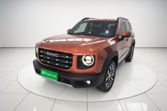 哈弗大狗 2021款 1.5T DCT两驱边牧版