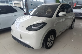 五菱汽车 五菱缤果 2024款 333km 悦享款