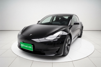 特斯拉 Model 3(进口) 2019款 长续航后驱版