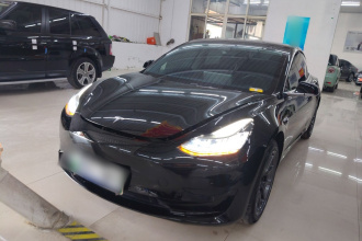 特斯拉 Model 3 2020款 标准续航后驱升级版