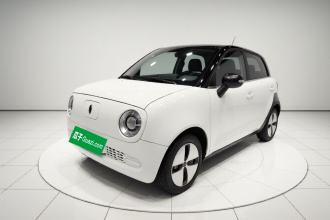 欧拉黑猫 2019款 301km 标准版