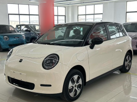 江淮钇为 钇为3 2025款 330km 自由版