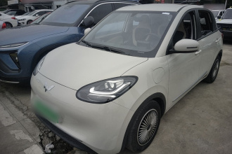 五菱汽车 五菱缤果 2023款 333km 快享款