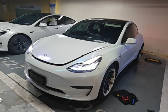 特斯拉 Model 3 2020款 标准续航后驱升级版