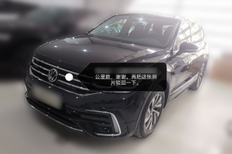 大众 途观L新能源 2022款 430PHEV 插电混动旗舰版