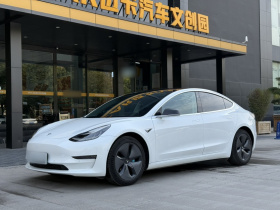 特斯拉 Model 3(进口) 2019款 长续航后驱版