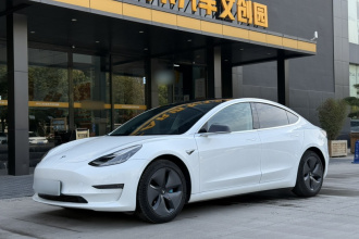 特斯拉 Model 3(进口) 2019款 长续航后驱版