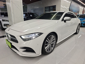 奔驰CLS 2020款 CLS 300 动感型