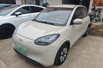 五菱汽车 五菱缤果 2023款 333km 悦享+款