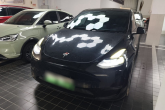 特斯拉 Model Y 2021款 标准续航后驱版