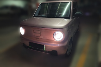 吉利银河 2023款 熊猫mini 200km 耐力熊