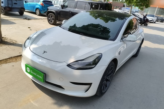 特斯拉 Model 3 2020款 标准续航后驱升级版