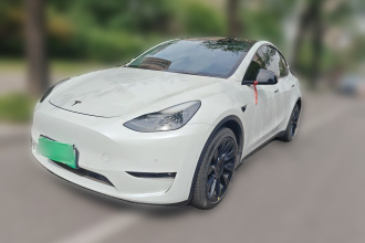 特斯拉 Model Y 2021款 长续航全轮驱动版 3D7