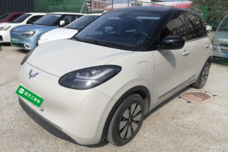 五菱汽车 五菱缤果 2023款 333km 灵犀互联+款