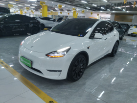 特斯拉 Model Y 2023款 高性能全轮驱动版