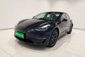 特斯拉 Model 3 2020款 改款 长续航后轮驱动版