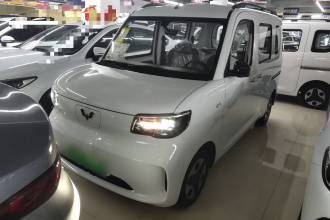 五菱汽车 五菱之光新能源 2025款 305km 进取型