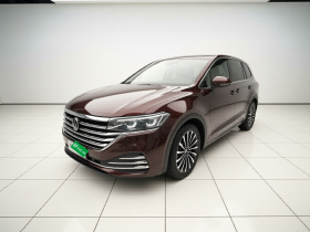 大众 威然 2020款 380TSI 尊贵版