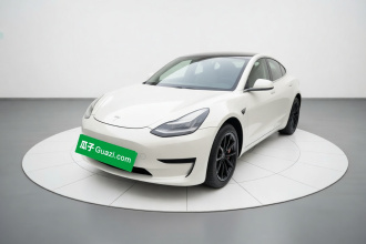 特斯拉 Model 3 2019款 标准续航后驱升级版