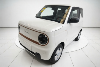 吉利银河 2024款 熊猫mini 200km 龙腾PRO版