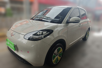 五菱汽车 五菱缤果 2023款 203km 轻享款