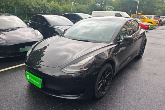 特斯拉 Model 3 2021款 标准续航后驱升级版 3D6