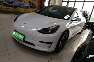 特斯拉 Model 3 2021款 标准续航后驱升级版 3D6