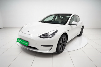 特斯拉 Model 3(进口) 2019款 长续航后驱版