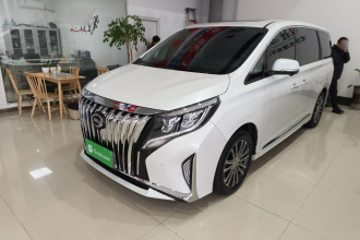 广汽传祺 传祺M8 2023款 领秀系列 390T 尊贵版