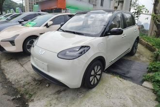 五菱汽车 五菱缤果 2025款 333km 灵犀互联款
