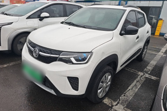 东风纳米EX1 2021款 质行版